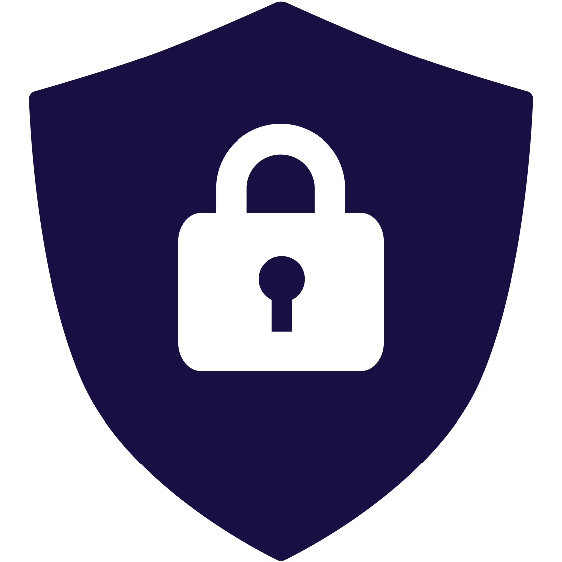 Schild-Icon für Datensicherheit